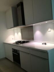 Trilight (D11), Condominium #566213451